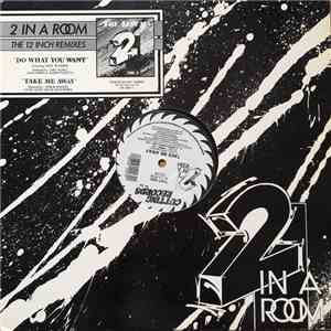 2 In A Room - Do What You Want / Take Me Away album flac