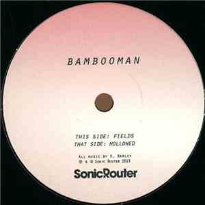 Bambooman - Hollowed album flac