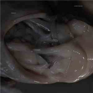 Croatian Amor - Love Means Taking Action album flac