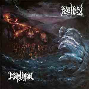 Dissimulation / Obtest - 77 album flac