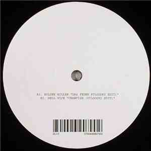 Holger Hiller / Hell Vice - Volume 12 album flac