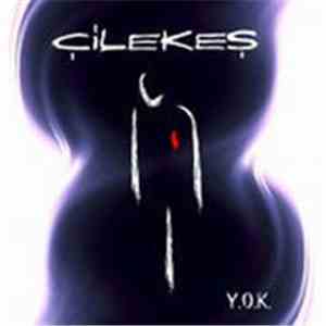 Çilekeş - Y.O.K. album flac