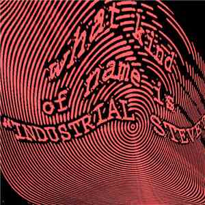 Industrial Steve - Please Do Not Feed Steve album flac