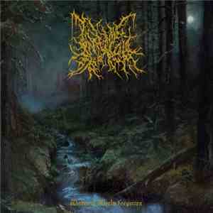Infernal Coil - Within A World Forgotten album flac