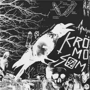 Krömosom - Krömosom 染色体をやっちまえ! album flac