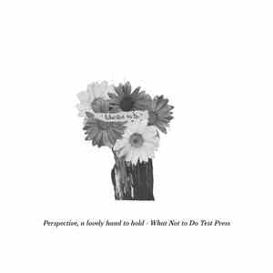 Perspective, A Lovely Hand To Hold - What Not To Do album flac