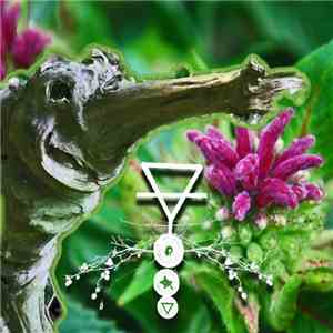 Phyllomedusa - Gepytto's Guillotine album flac