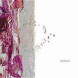 Ryoichi Kurokawa - Copynature album flac