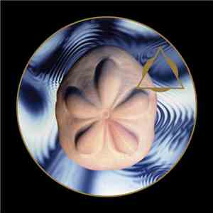 Spacetime Continuum - Sea Biscuit album flac