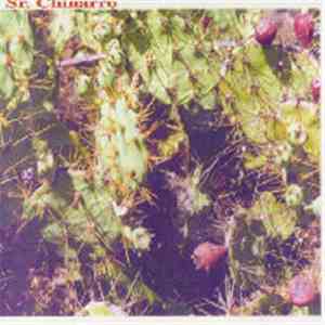 Sr. Chinarro - Sr. Chinarro album flac