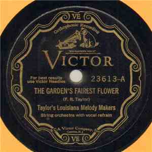 Taylor's Louisiana Melody Makers - The Garden's Fairest Flower / 'Mid The Shamrocks Of Shannon album flac