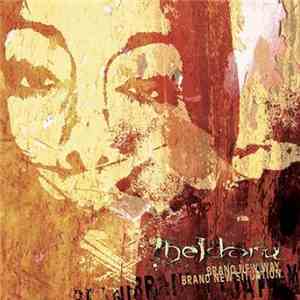 The Idoru - Brand New Way, Brand New Situation album flac
