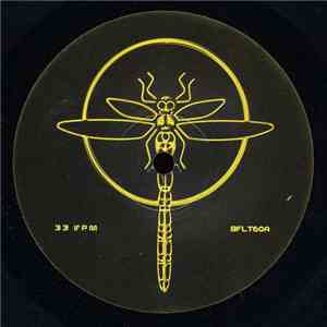 The Muses Rapt - Spiritual Healing Remixes album flac