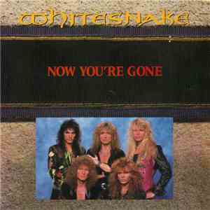 Whitesnake - Now You're Gone album flac