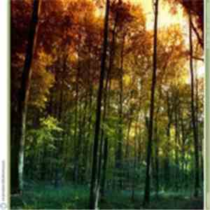 Zvezdara - The Dawn Of New Possibilities album flac