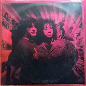 Albert Hammond Jr. - In Transit album flac