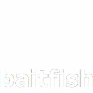 Baitfish - Baitfish album flac