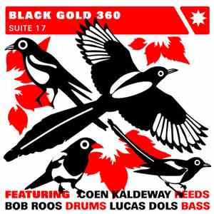 Black Gold 360 - Suite 17 album flac