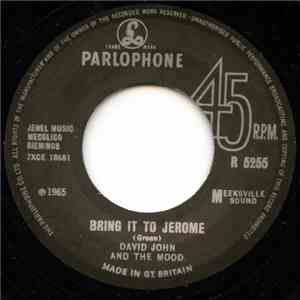 David John And The Mood - Bring It To Jerome album flac