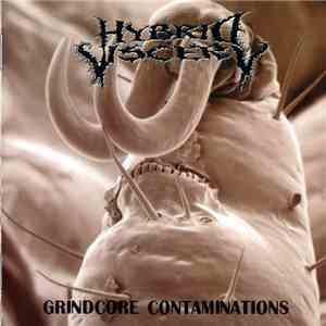 Hybrid Viscery - Grindcore Contaminations album flac