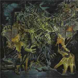 King Gizzard And The Lizard Wizard - Murder Of The Universe album flac