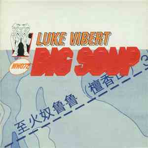 Luke Vibert - Big Soup album flac