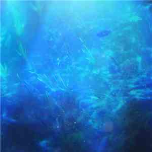 Memorygarden禅 - Districtアトランティス album flac
