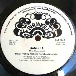 Mhuri Yekwa Sekete Na Shayanewako - Bangiza album flac