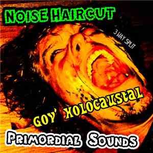 Noise Haircut / gov' holocaustal / Primordial Sounds - 3 Way Split album flac