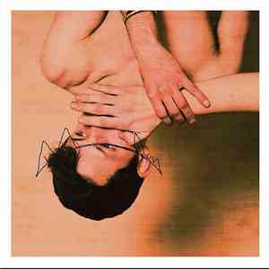 Perfume Genius - Mr. Peterson album flac