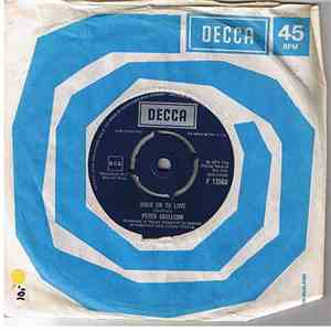 Peter Skellern - Hold On To Love / Too Much, I'm In Love album flac