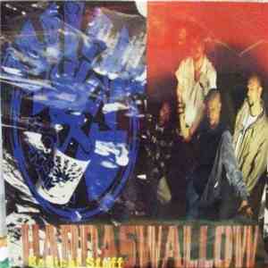 Radical Stuff - Hardaswallow album flac