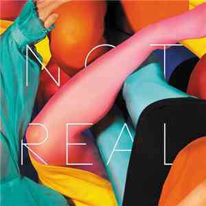 Stealing Sheep - Not Real album flac