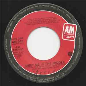 The Arrows - Meet Me In The Middle/Girl In 313 album flac