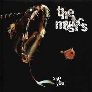 The Mystics - See You album flac