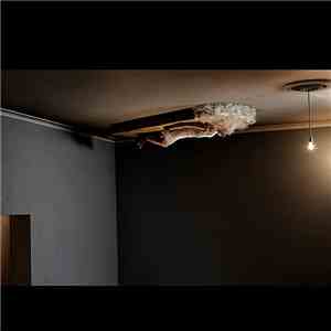 The Polyamorous Affair - Hypnotized album flac