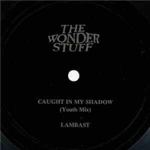 The Wonder Stuff - Caught In My Shadow album flac