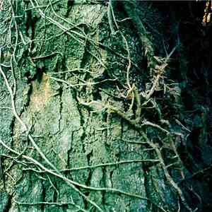 Twyxu - Bark album flac