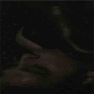 Unknown Artist - Transmisogynoir #7 album flac
