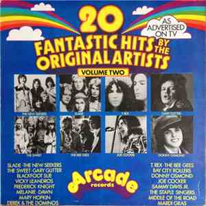 Various - 20 Fantastic Hits By The Original Artists Volume Two album flac