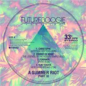 Various - Summer Riot VI album flac