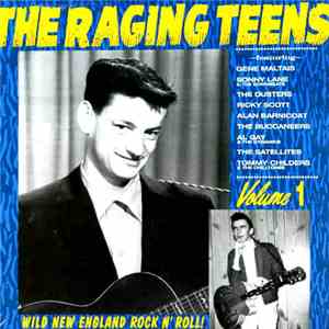 Various - The Raging Teens Volume 1 album flac