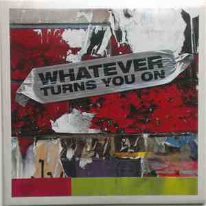 Various - Whatever Turns You On album flac