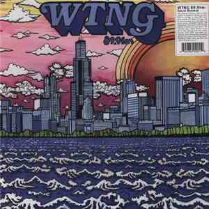 Various - WTNG 89.9 FM: Solid Bronze album flac