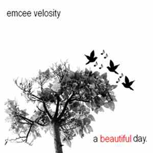 Velosity - A Beautiful Day album flac