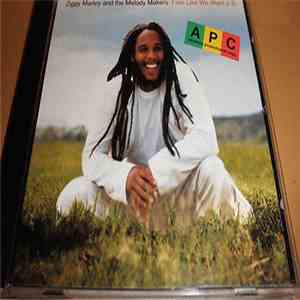 Ziggy Marley And The Melody Makers - Free Like We Want 2 B album flac