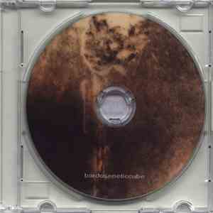 Bardoseneticcube - The Sacral Member album flac