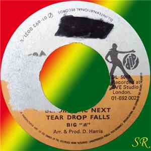 Big "M" - Before The Next Tear Drop Falls album flac