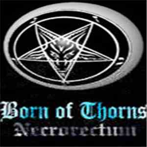 Born Of Thorns - Necrorectum album flac