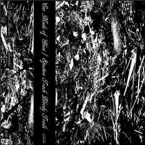 Car Made Of Glass, Specters Track Bloody Trails - Wind BrushesUntitled album flac